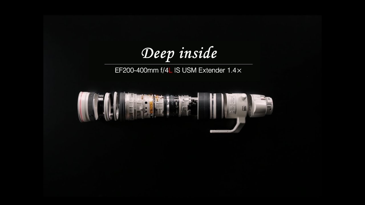 EF200-400mm f/4L IS USM Extender 1.4&times;