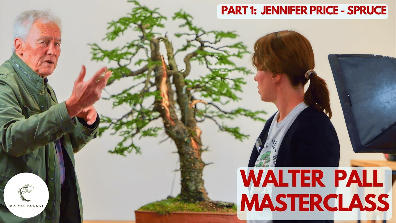 Projektowanie bonsai świerkowego: rozwiązanie problemu &bdquo;podw&oacute;jnego wierzchołka&rdquo; (z Walterem Pallem)
