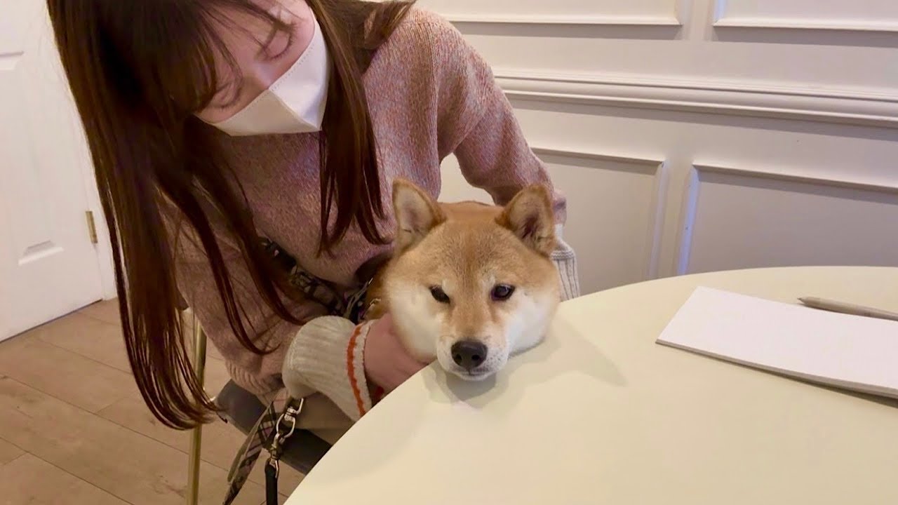 動物と話せる人に会って、富の本音を聞いたら涙が止まりませんでした
