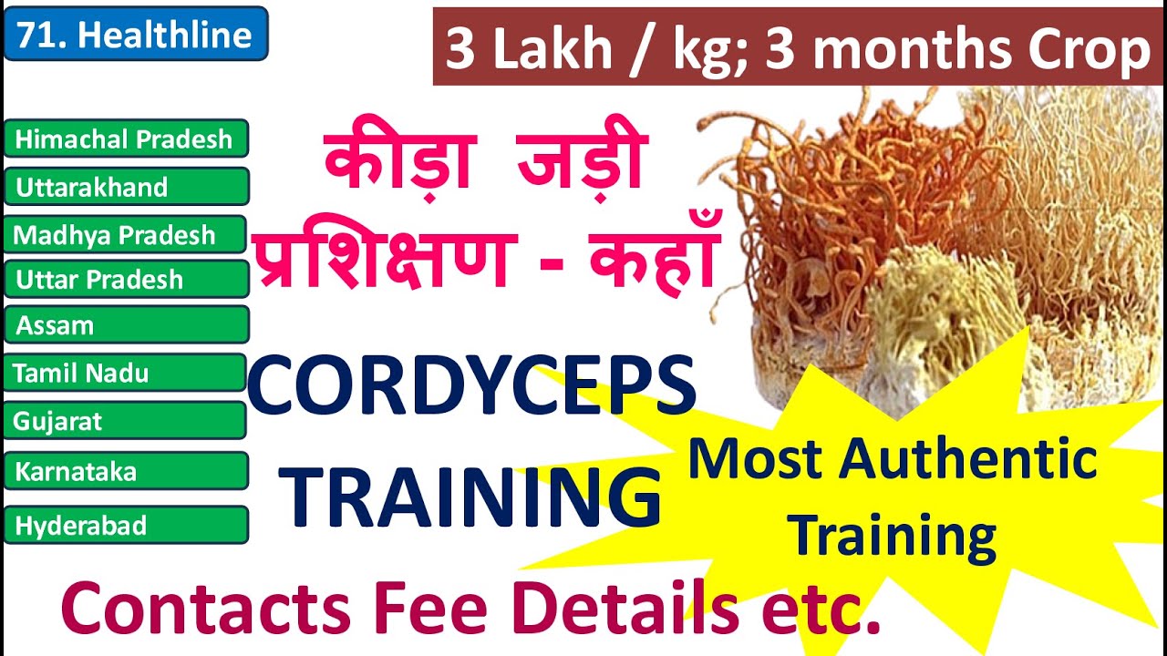 Many Diseases One Solution | Cordyceps Training | अनेक रोग एक दवा | Keeda Jadi | Himalayan Gold