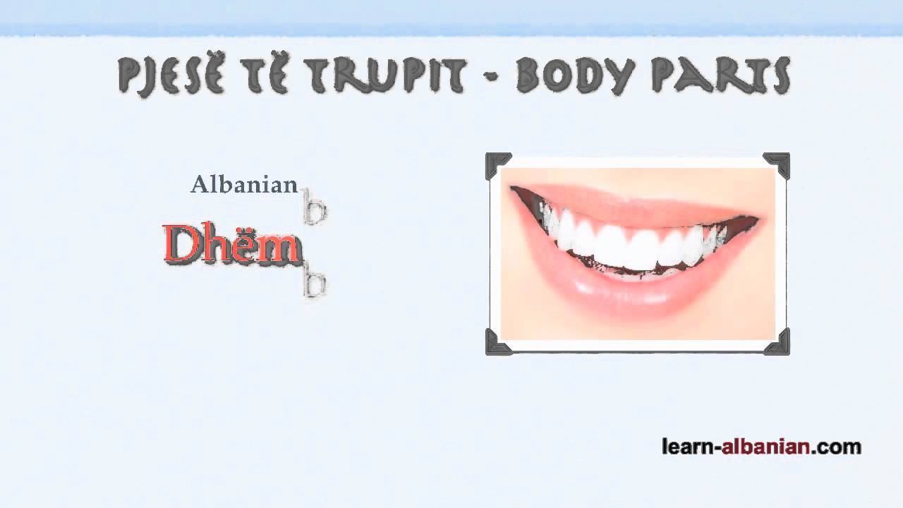 Body Parts in Albanian / Learn Albanian language