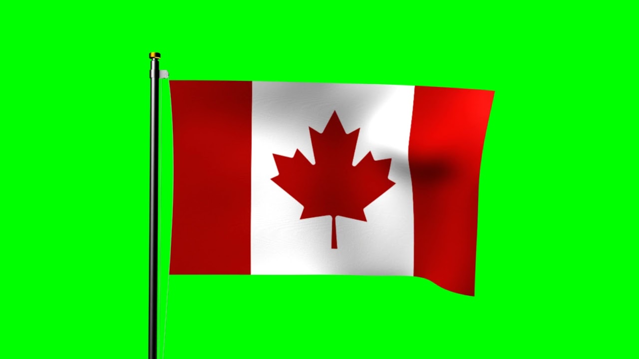 Canadian flag animation over a green screen