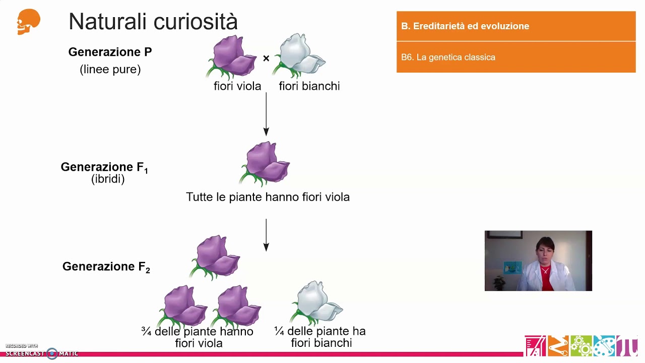 B6.  Ereditarietà ed evoluzione - La genetica classica