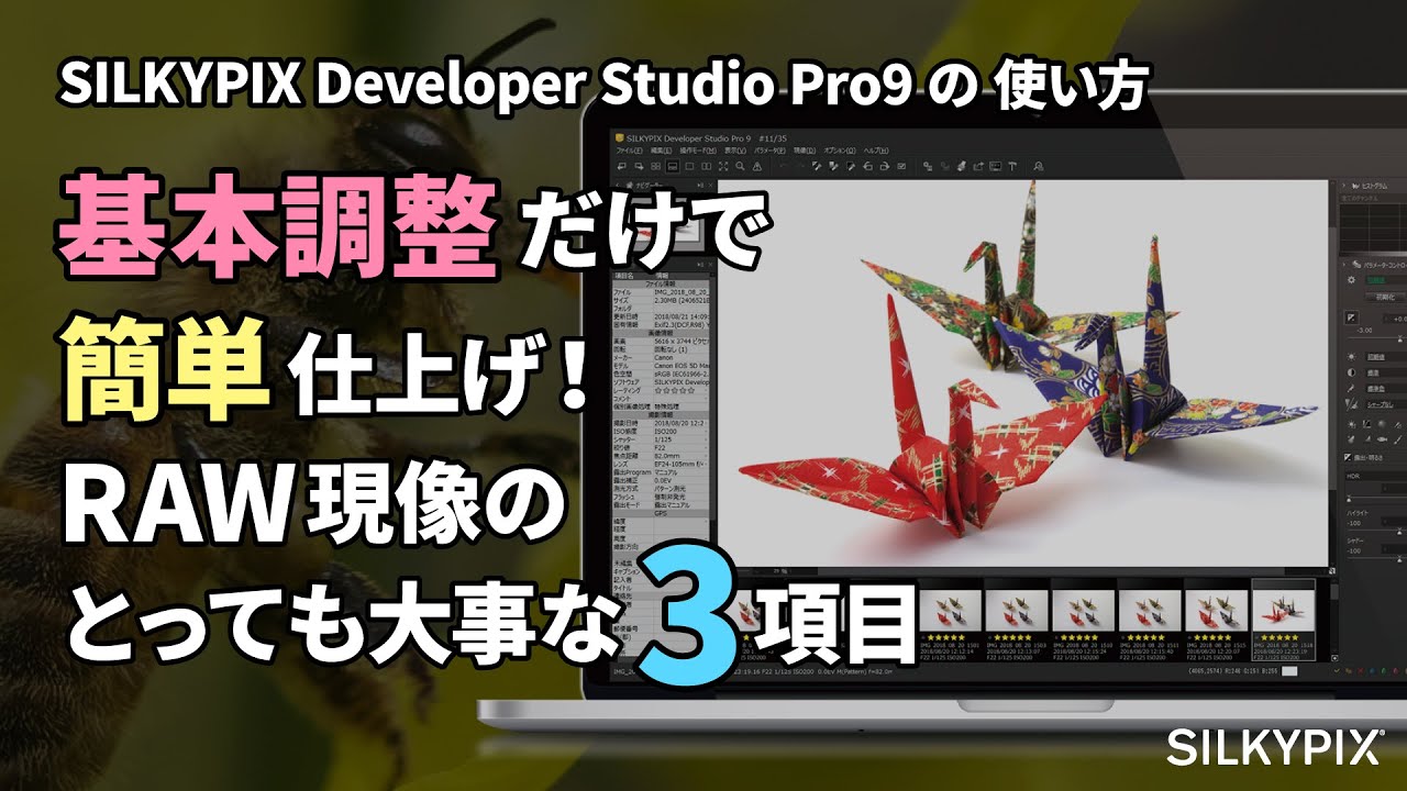 基本調整だけで簡単仕上げ！ ～RAW現像のとっても大事な基本調整3項目～【SILKYPIX Developer Studio Pro9の使い方】
