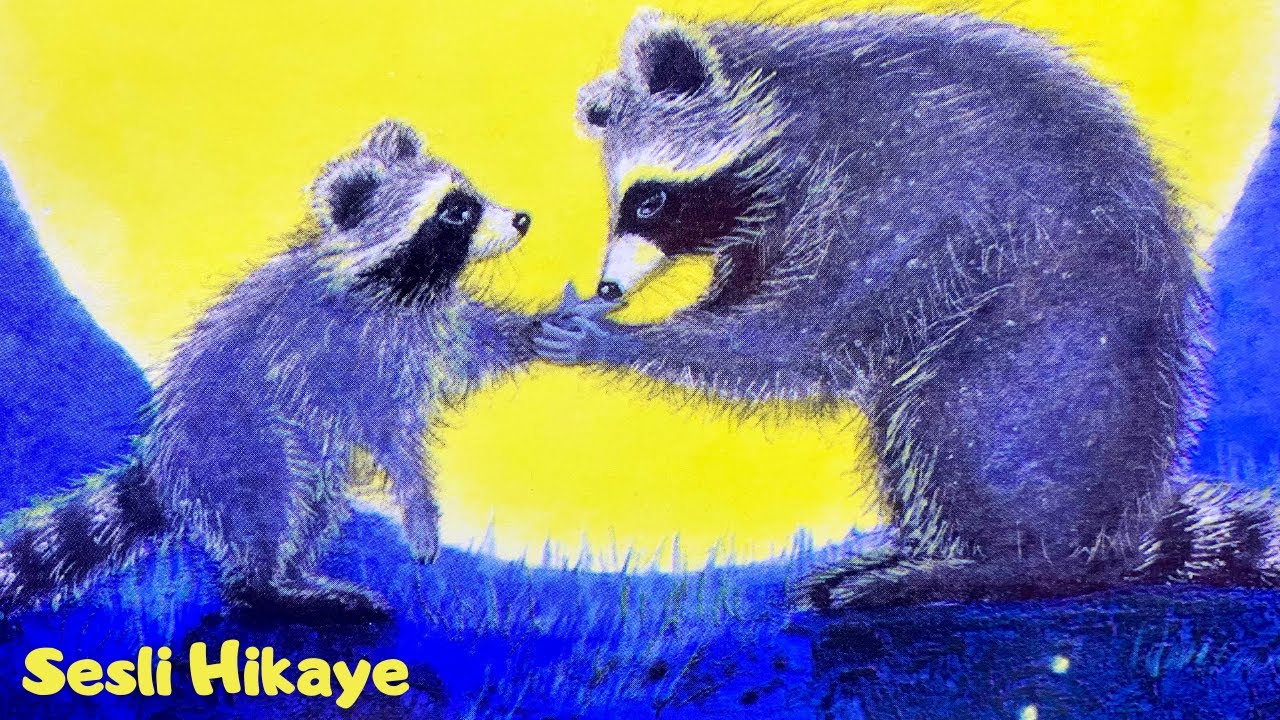 AVUCUNDAKİ ÖPÜCÜK 🦝 | Sesli Kitap | Hikaye Dinle | Çocuklar İçin Hikayeler…