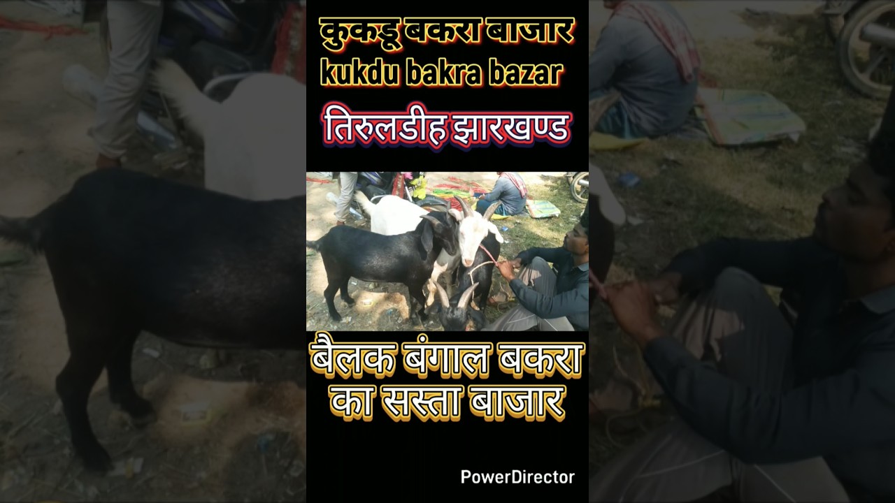 कुकड़ू बकरा बाजार kukdu bakra market tiruldih jharkhand 