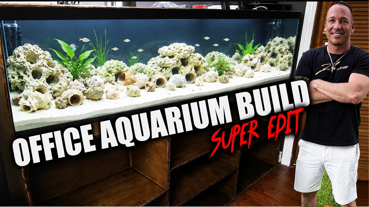 HOW TO build an aquarium from SCRAP ACRYLIC! The king of DIY super edit