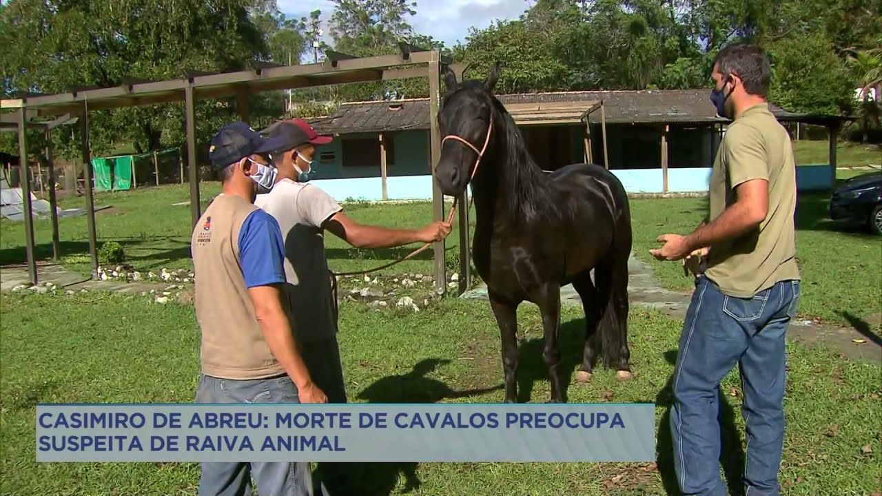Suspeita de raiva animal na região