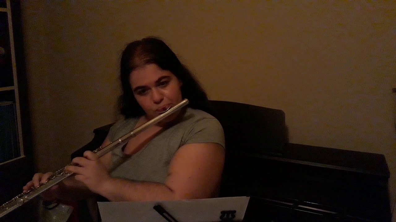 Francois Devienne Duetto in D minor Flüt