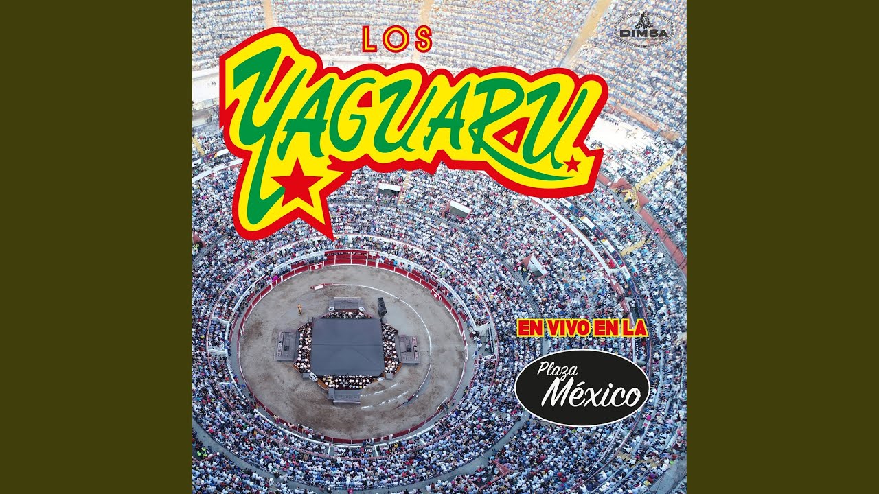 Yaguamix Extended: Todo Me Recuerda a Ti / Vida No Te Vayas / Amor Sin Primavera / Pero Tu...
