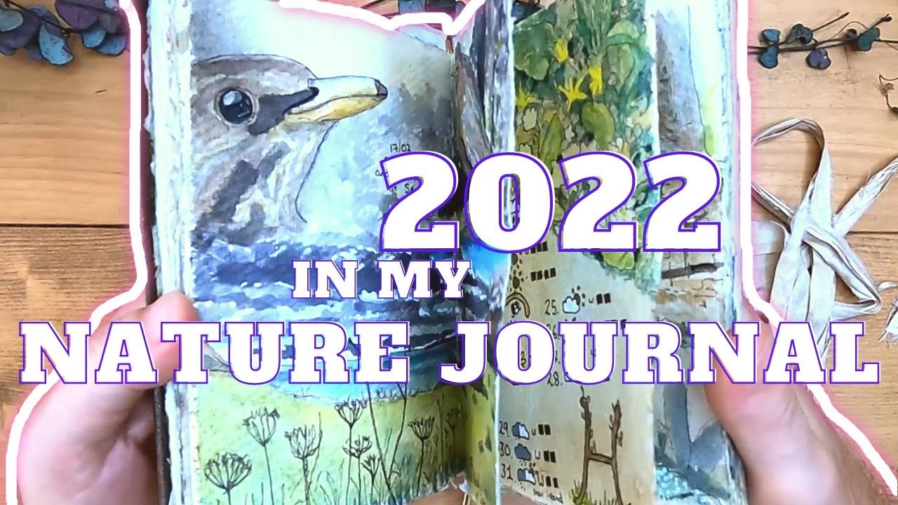 Six Months in my Nature Journal | 2022 Journal Flipthrough