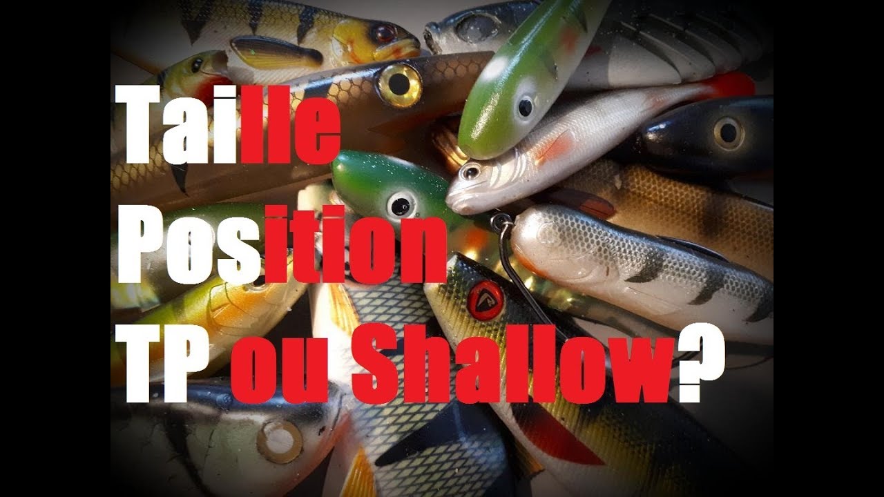Tuto Matos #3 : Armer correctement un shad à brochet