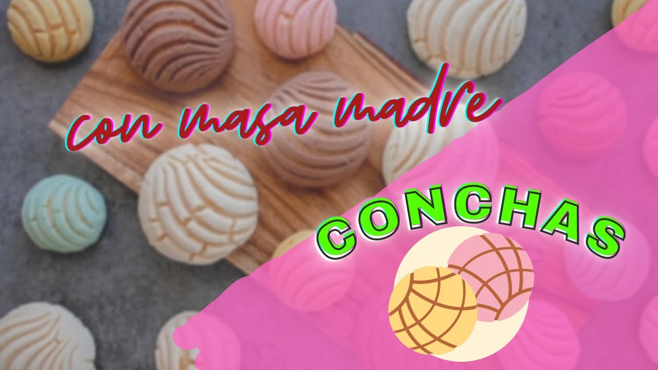 Conchas (pan dulce mexicano) pero con masa madre, sin levadura comercial
