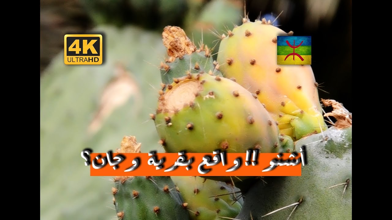 اشنو !! واقع بقرية #وجان# ؟