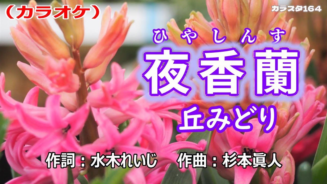 【新曲】カラオケ「夜香蘭（ひやしんす）」丘みどり