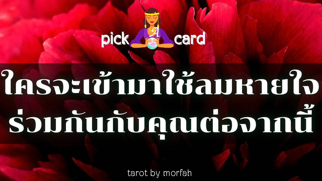 🔮Pick a Card🧚ใครจะเข้ามาใช้ลมหายใจร่วมกันกับคุณต่อจากนี้🌻👫🌸