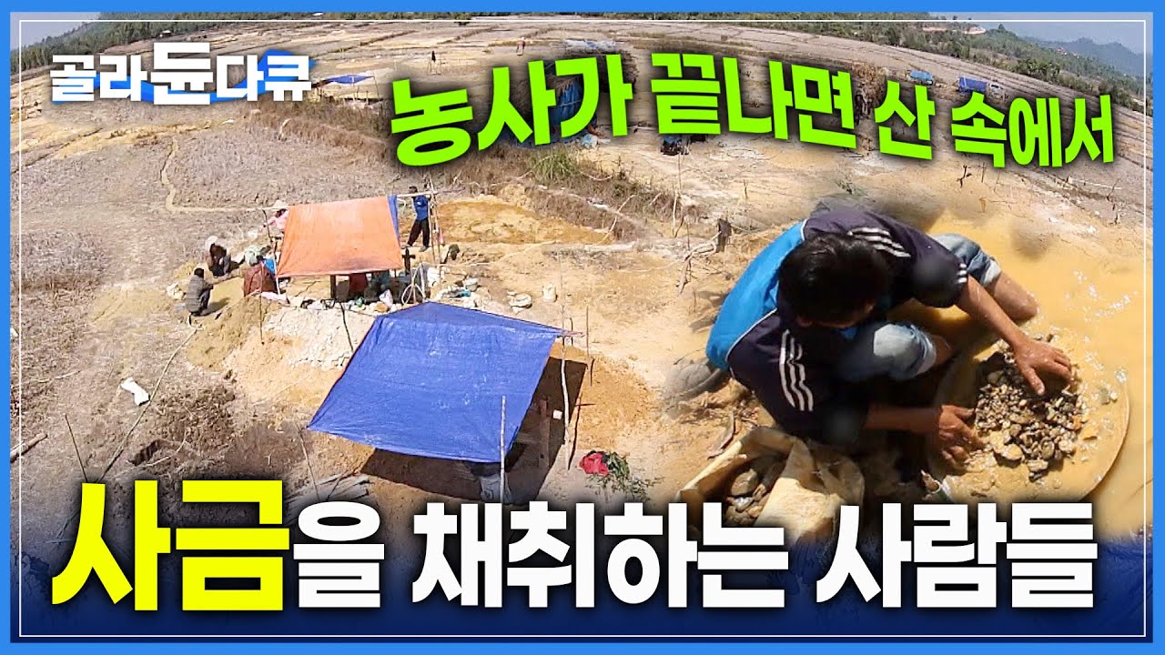 쉴 틈이 없다! 농사가 끝나면 사금 채취 | 라오스 산악지대 오지마을에 사는 므이족 | 힘들게 일한 것 치곤 소량의 금 | 세계테마기행 | #골라듄다큐