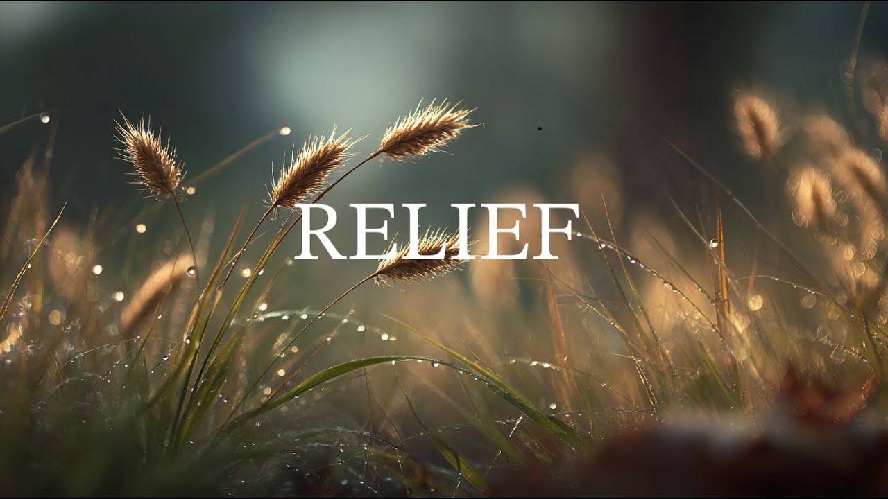 Relief —  gentle Guitar & Piano • Relaxing Music for Emotional Relief, Study, sleep