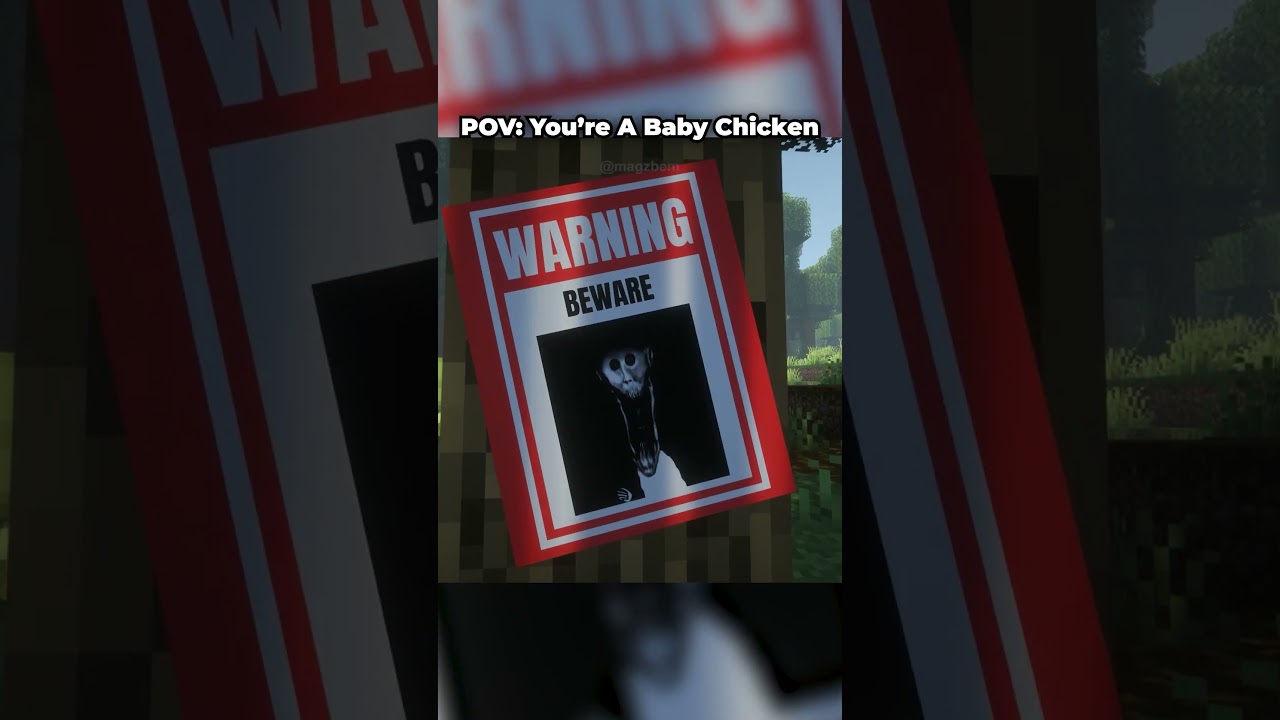POV: You're a Minecraft Baby Chicken