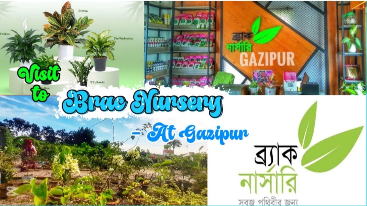 ব্রাক নার্সারি, গাজীপুর (Brac Nursery)|| #research #agriculture #institution #vlog #trending #foryou