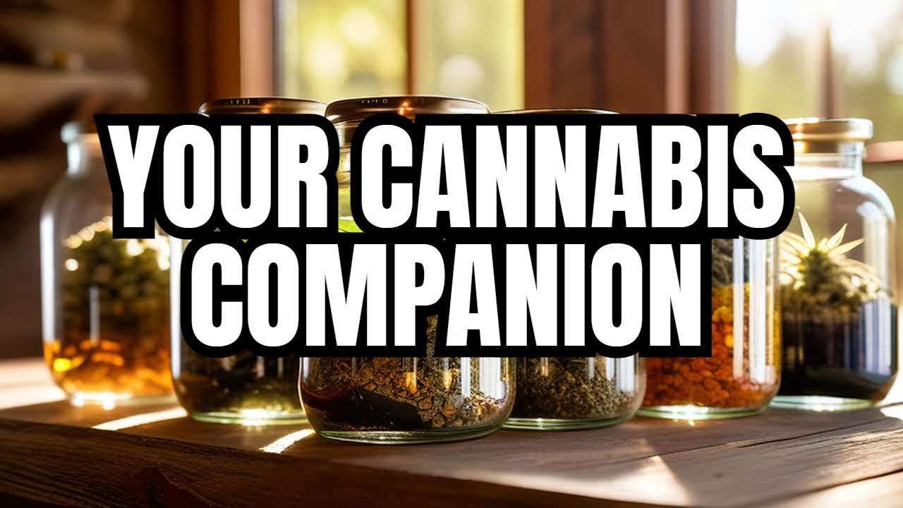 420 Reviews: The Must-See Cannabis Destination for Every Enthusiast
