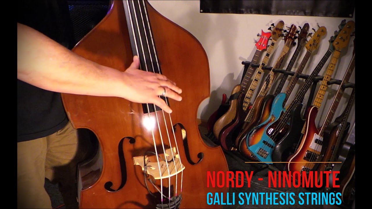 Nordy 