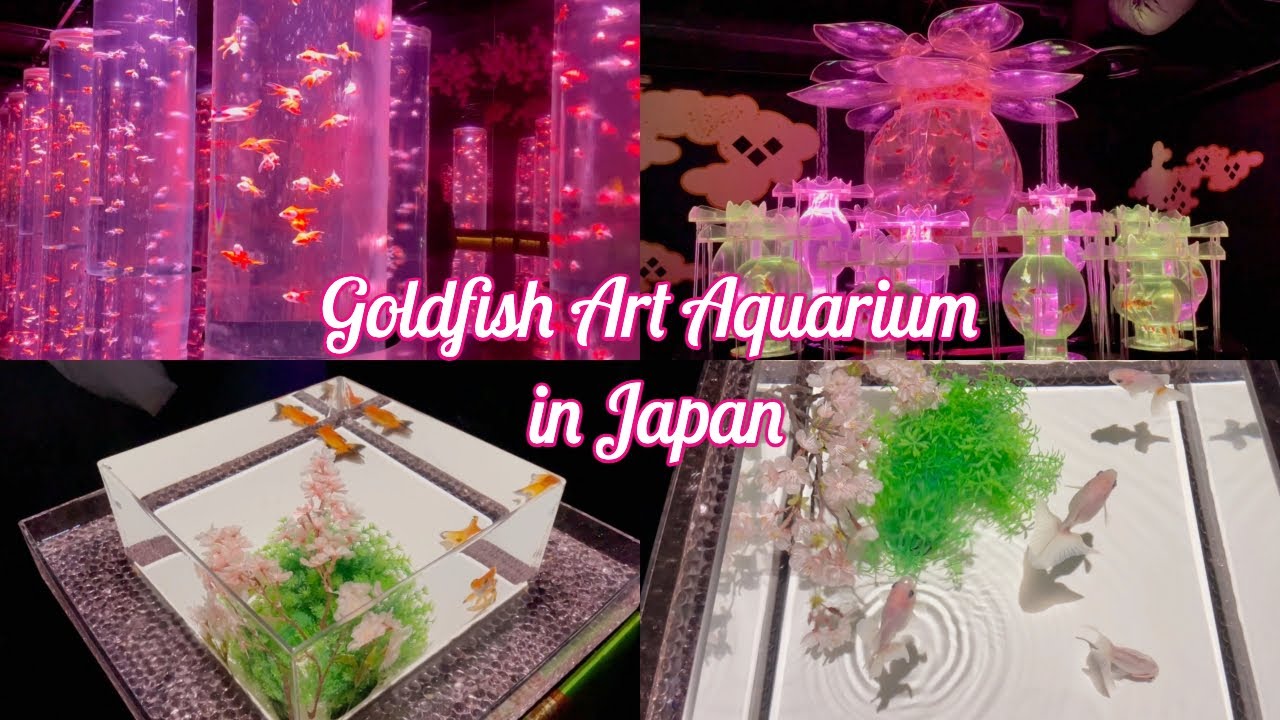 JAPAN VLOG - Goldfish Art Aquarium in Tokyo 🛍️ Shopping at DAISO, Standard Products & THREEPPY