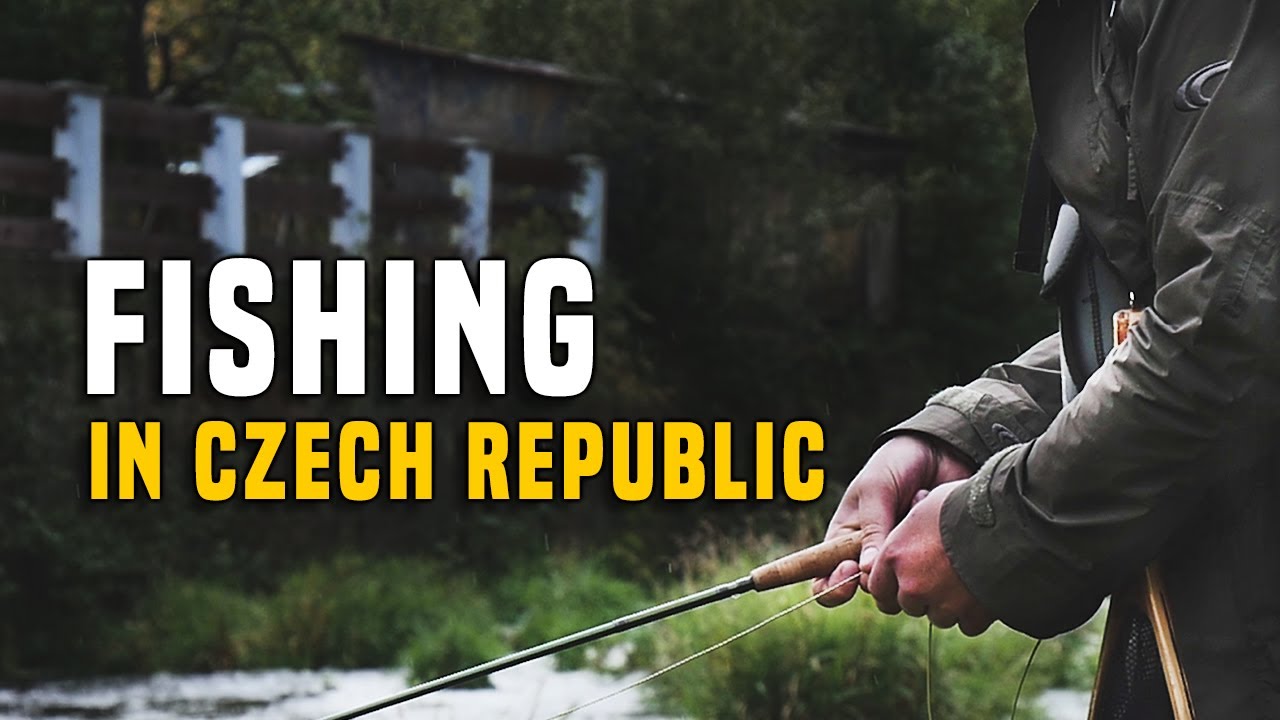 Fishing in Czech Republic.