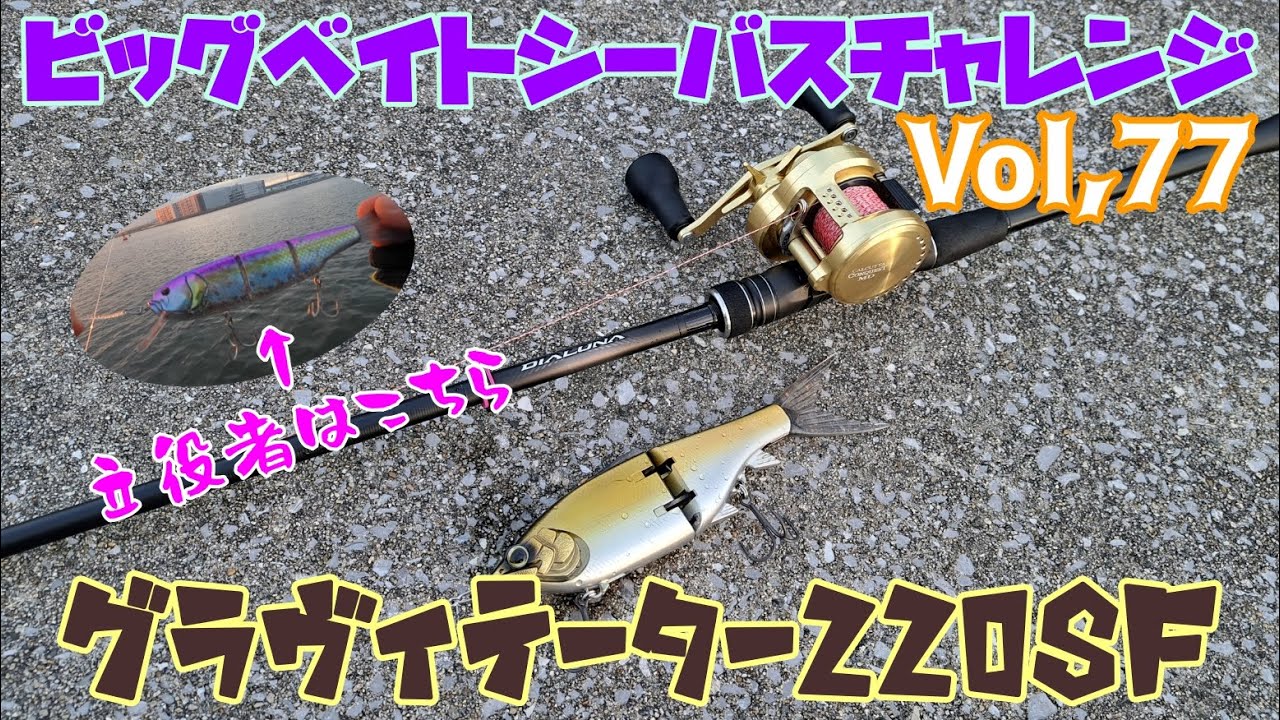 【ビッグベイトシーバスチャレンジ Vol,77】グラヴィテーター220SF…そして…