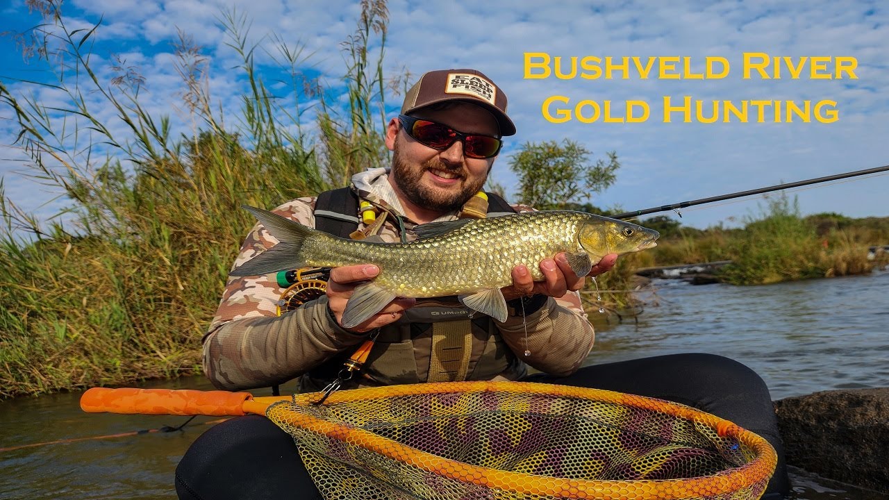 First time catching Small & Large Scale Yellowfish