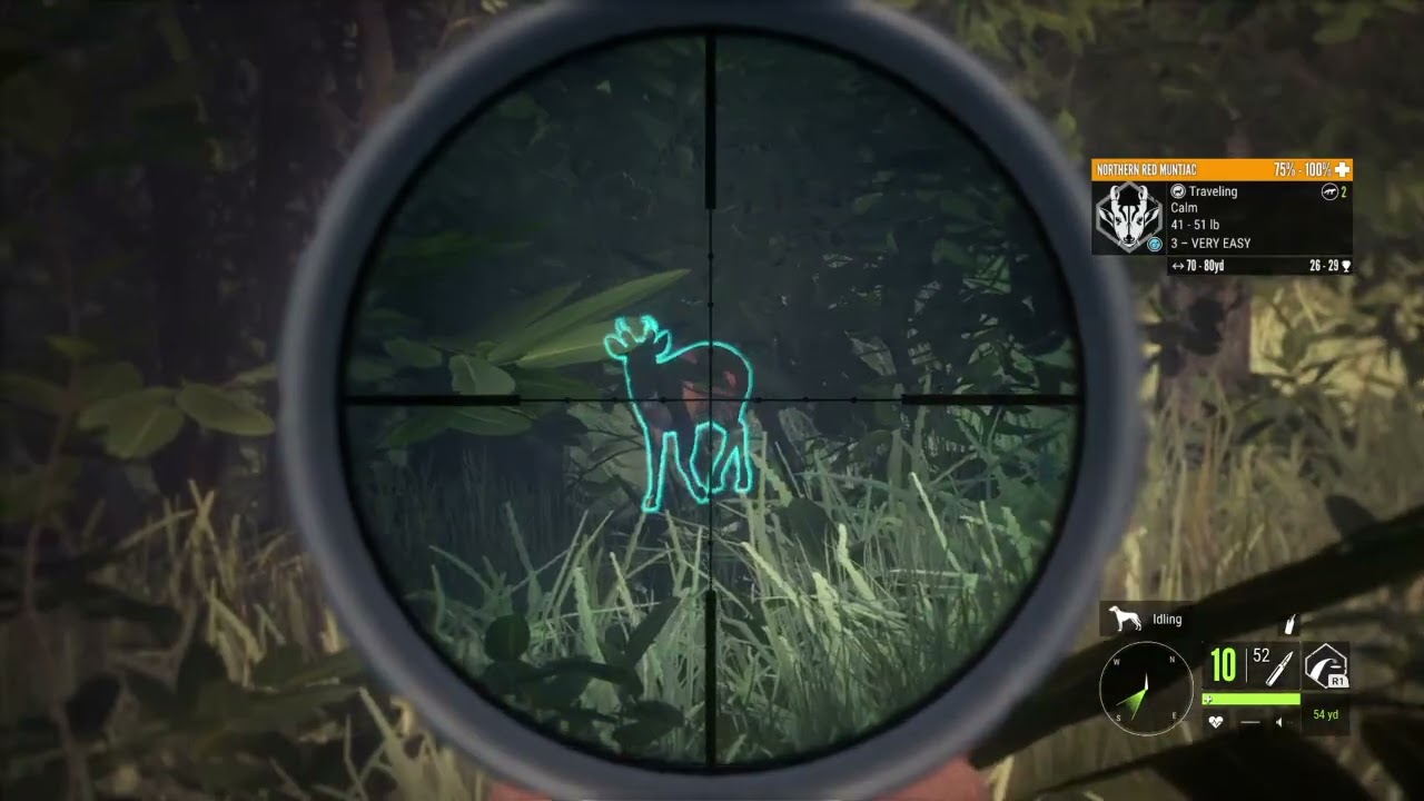 theHunter: Call of the Wild water Buffalo hunting