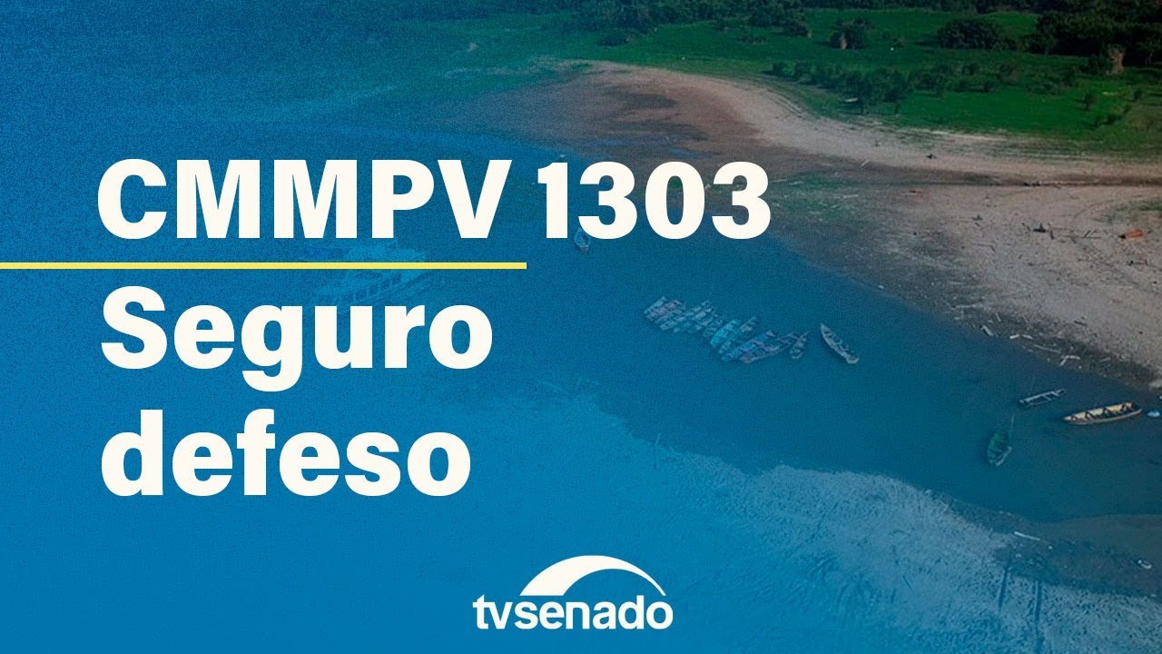 Comissão Mista debate MP 1.303 com pescadores – 20/8/25