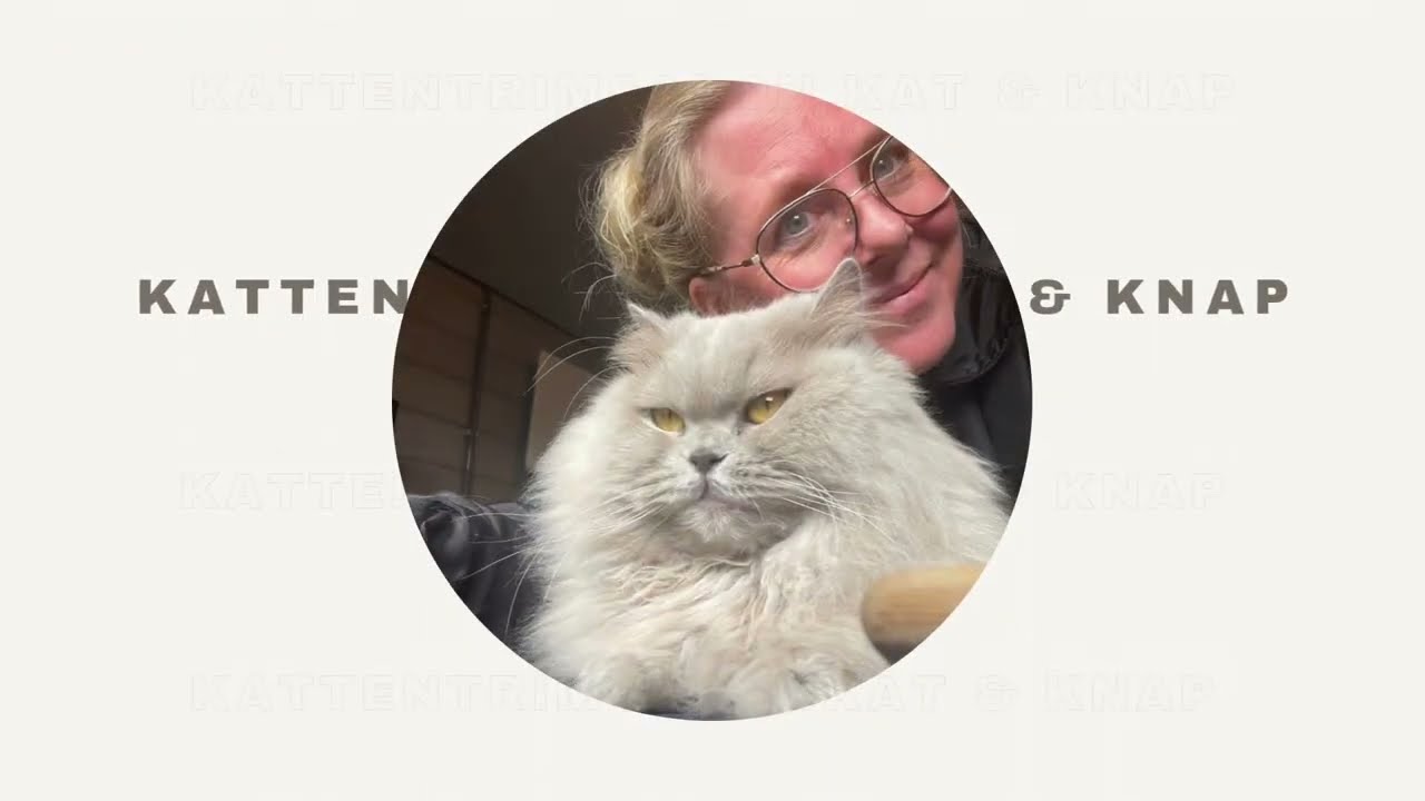 Hoe houd ik zelf het gebit van de kat in conditie? Met DAP Westeinder