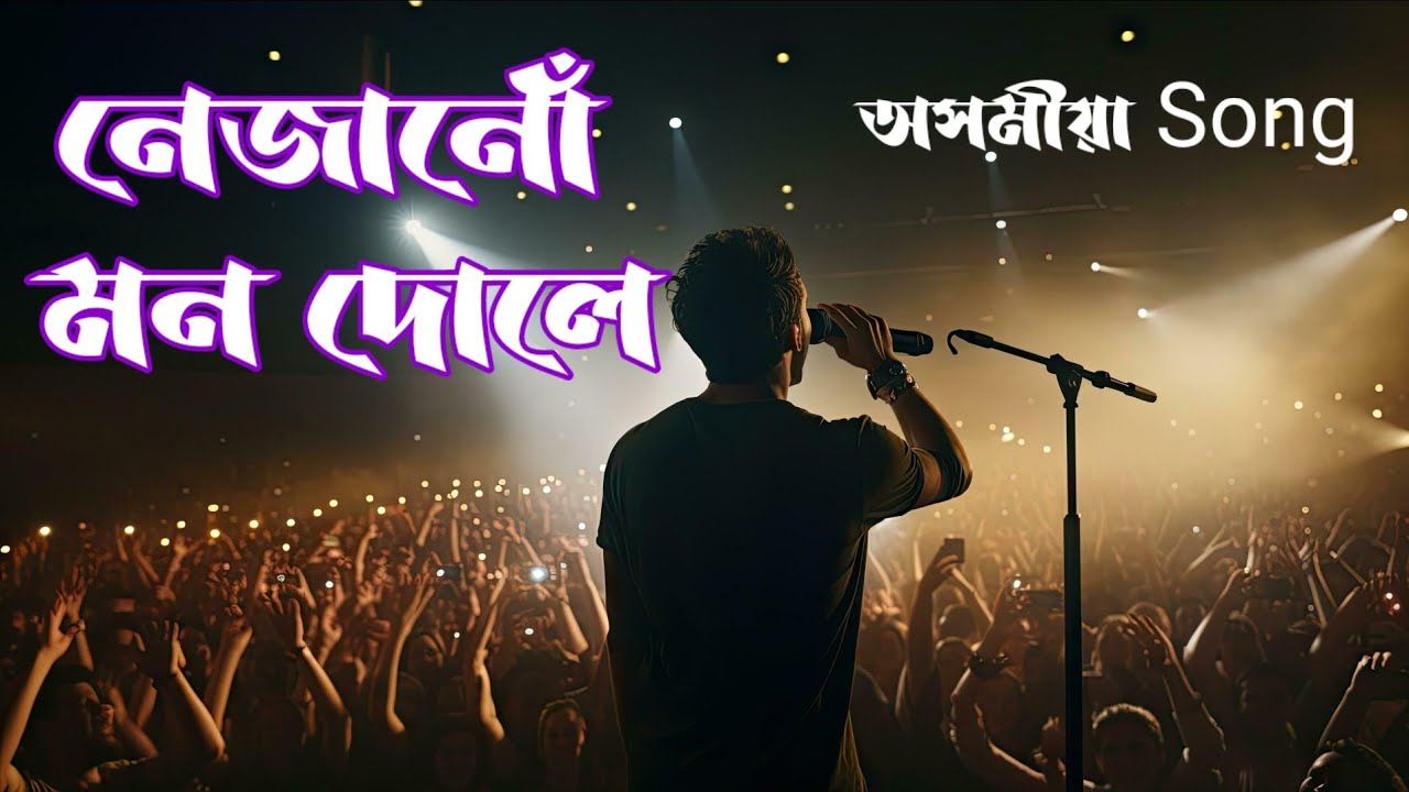 Nejanu Mon Dole. | Assamese Cover Song From Zubeen Garg | Violin mix version