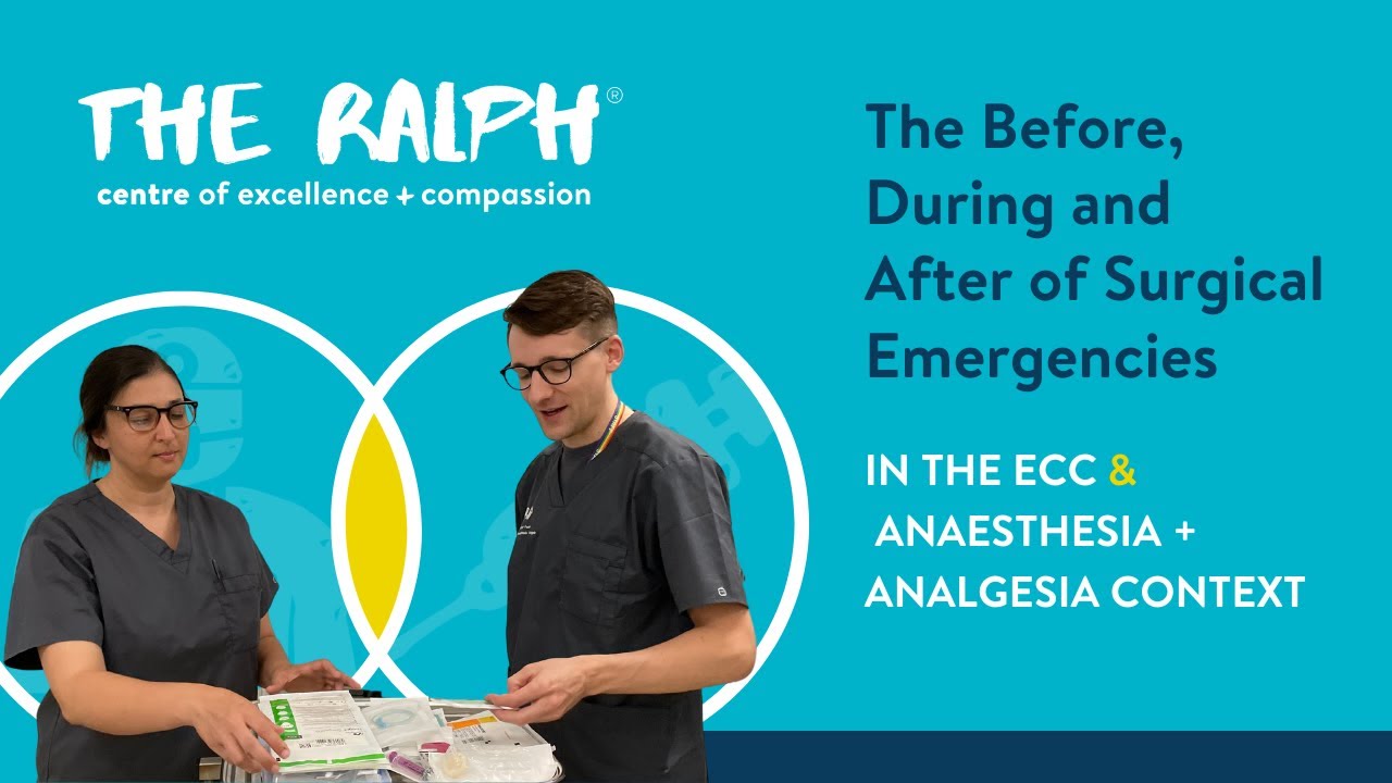 The Before, During and After of Surgical Emergencies - ECC/Anaesthesia Veterinary CPD