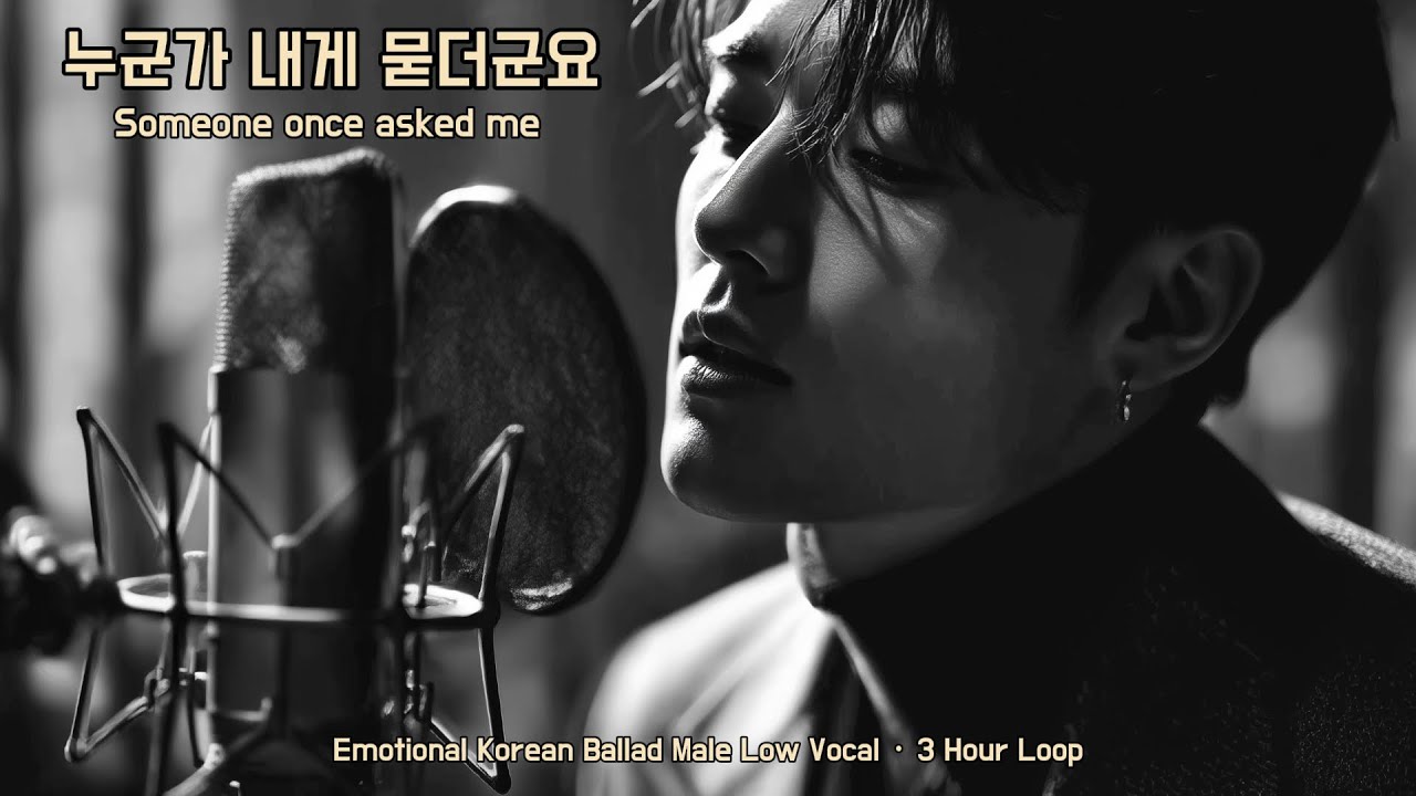 【DLEJ】누군가 내게 묻더군요 ✦ 애절한 한국 발라드 ✦ 남성 저음 감성  ✦ 3시간 연속 듣기