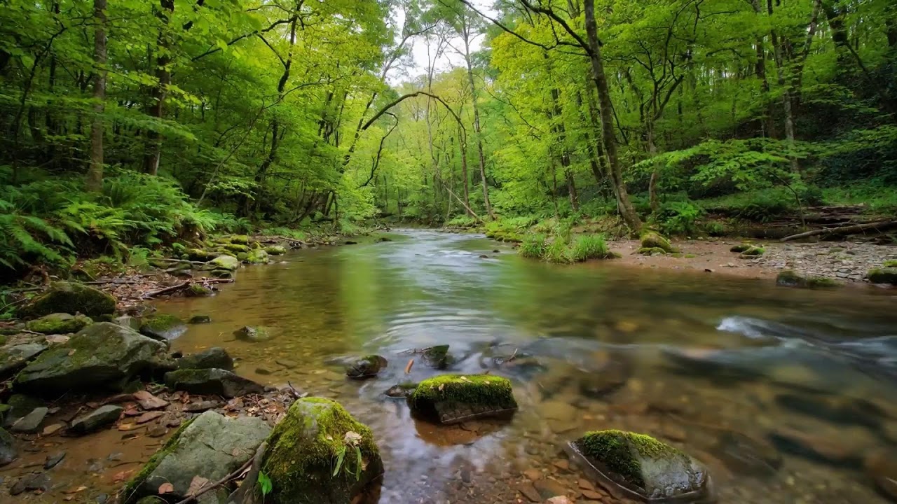 INSTANT PEACE: 8 Hours of Music That Melts Away Stress & Anxiety | Deep Sleep Aid & Focus