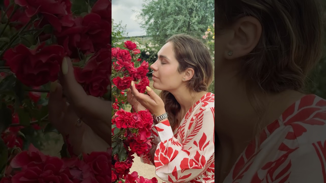 Wonderful pace - everything around is in roses 🌹 #video #rose #flowers #park #montage #wonderful