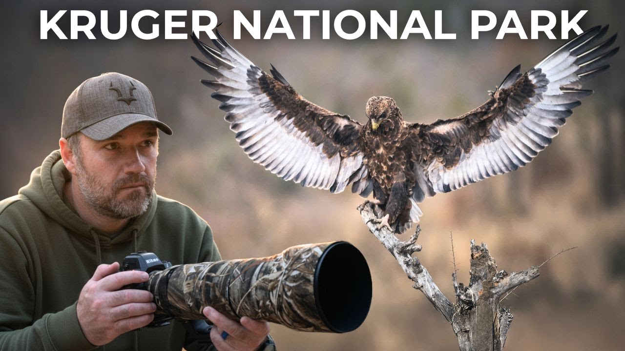 Wildlife Photography Hides A Chaotic Reality (Kruger National Park BTS)