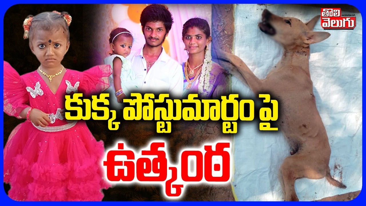 కుక్క పోస్టుమార్టం పై ఉత్కంఠ  | Tuni Gnaneshwari Missing Mystery | Tension On Dog Post-Mortem