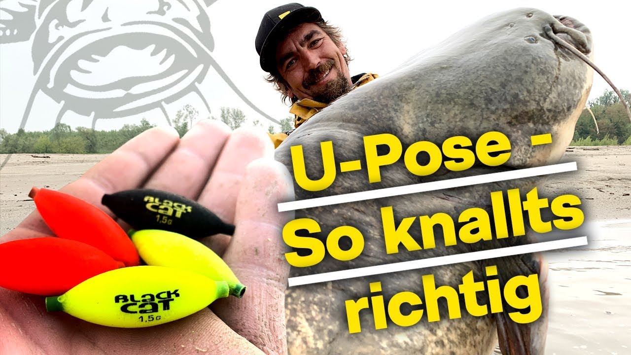Die beste Welsmontage | Micro U-Posen beim Wallerangeln | Wichtige Tipps f&uuml;r Euren Erfolg