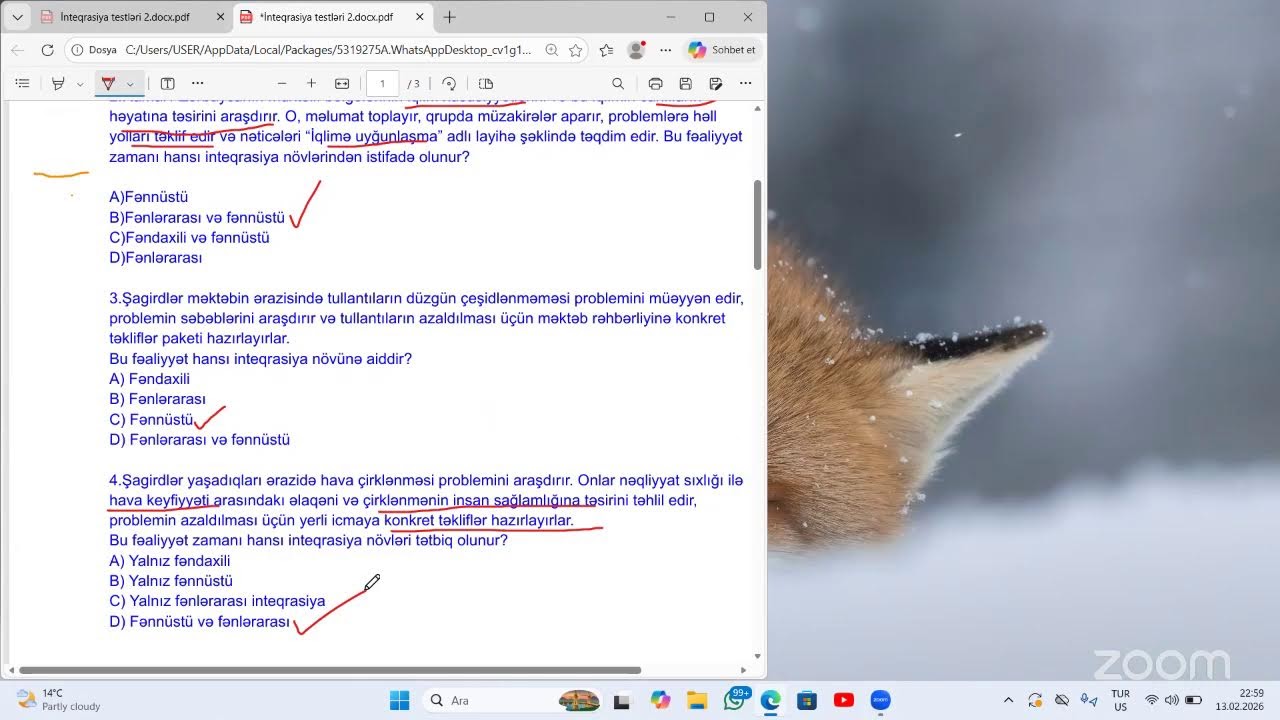 Ruhane Memmedova Zoom Toplantısı