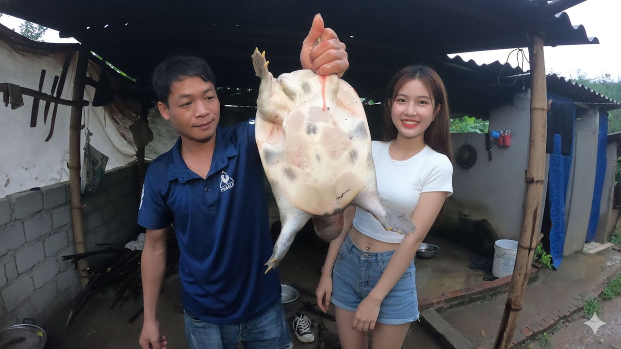 TIẾT CANH BA BA BUỔI TỐI | Nhịp Sống Thường Ngày