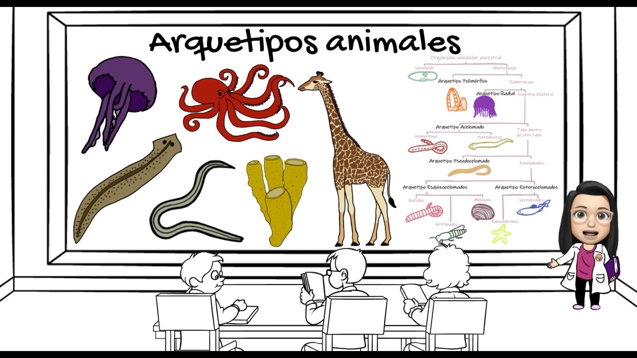 Características generales de los arquetipos animales