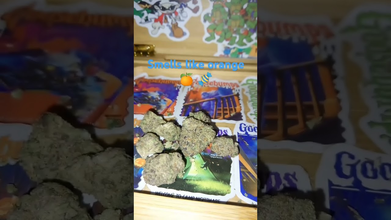Deepwoods gush 41 good cure good bud #clips #shorts #weedchannel #foryou