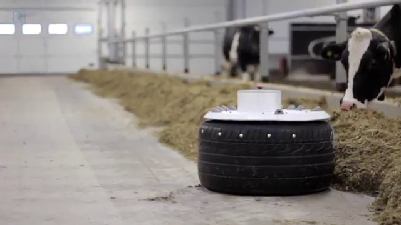 Robotic Solutions Feed Pusher