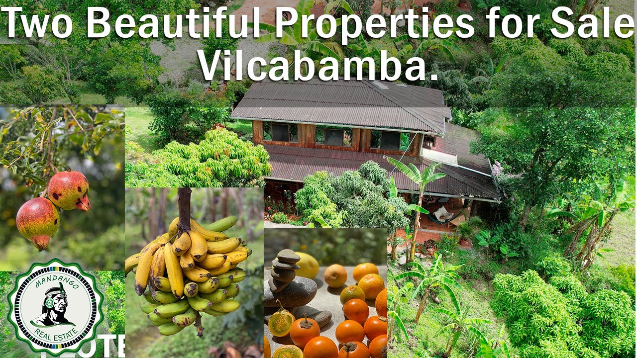 Two Beautiful Properties for Sale in San Pedro de Vilcabamba.