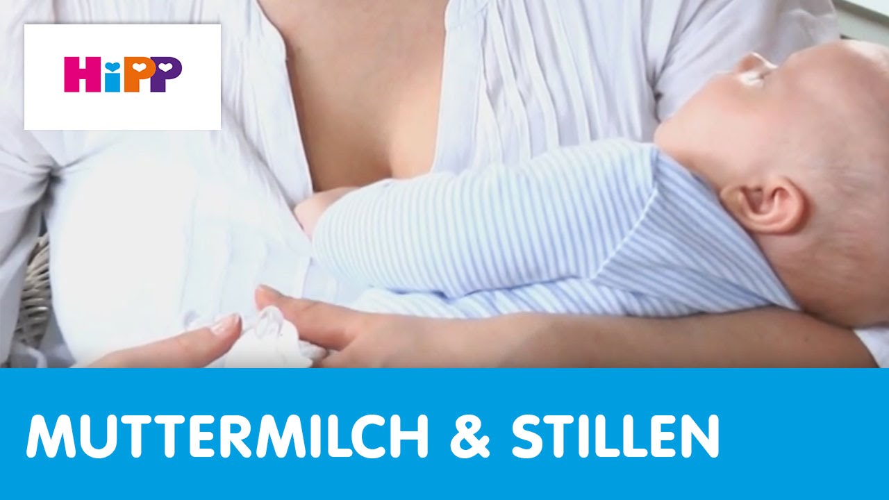 Hebammen-Tipps Stillen: Milchstau (HiPP Ratgeber)