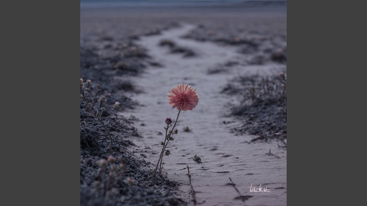 Please plant a flower