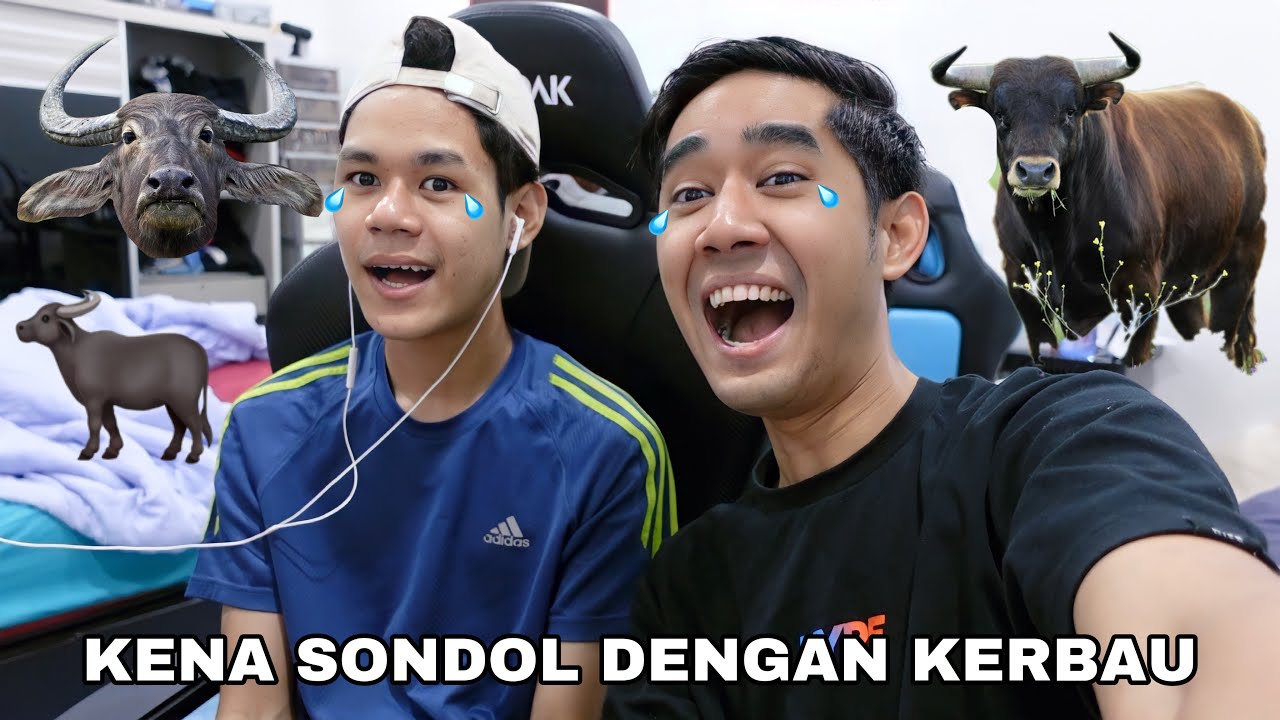 KENA SONDOL DENGAN KERBAU 🐃 ESCAPE WILD WEST OBBY 😂
